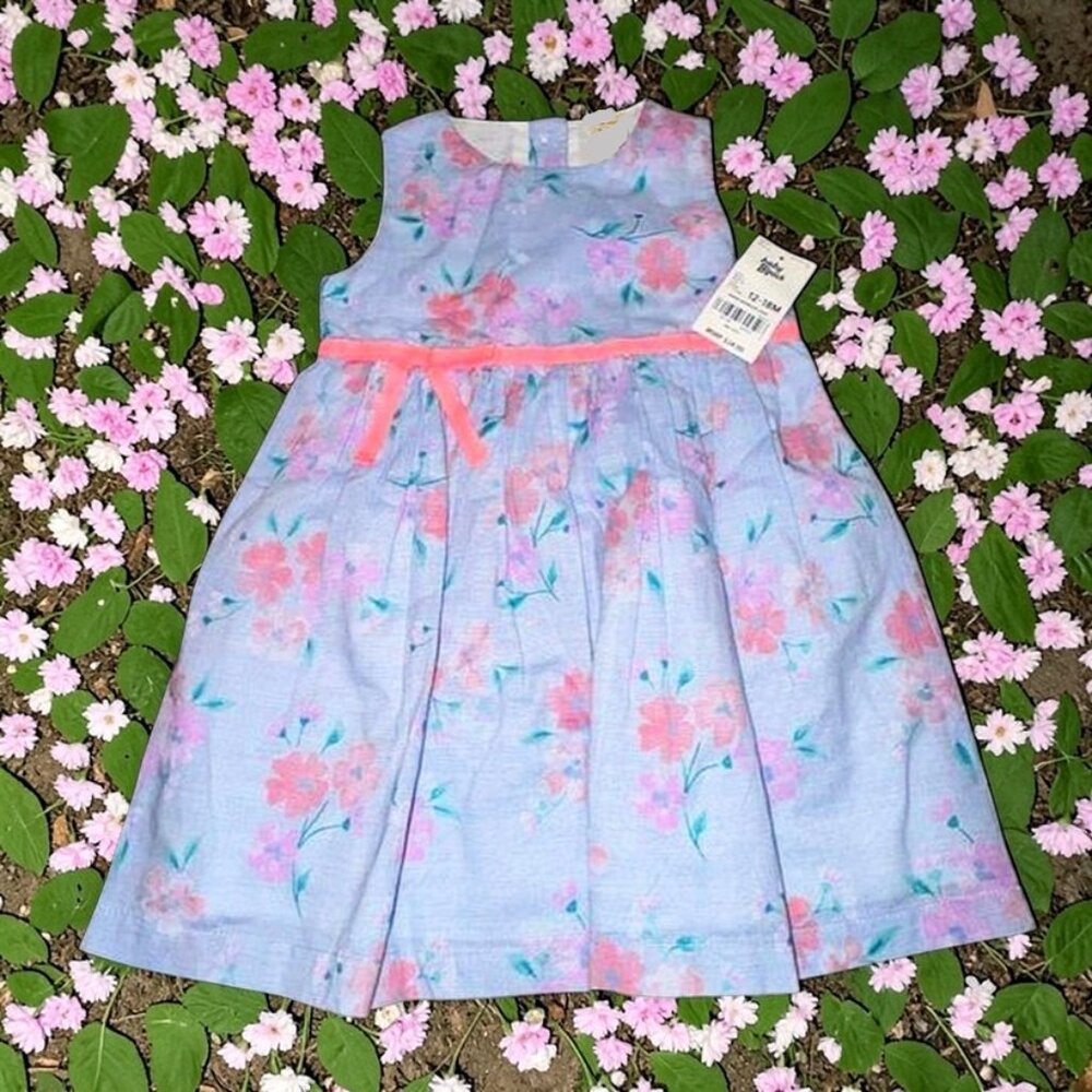 Baby B'Gosh Girl 12-18 mos Floral Dress NEW